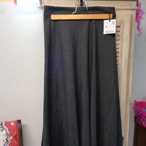 Zara Skirt NWT XS